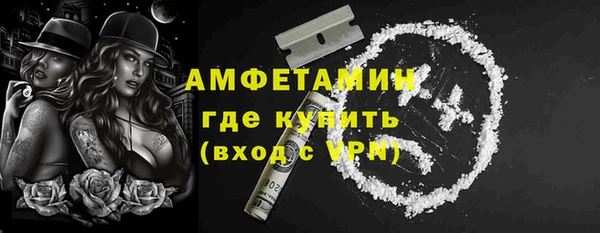 ГАЛЛЮЦИНОГЕННЫЕ ГРИБЫ Инта
