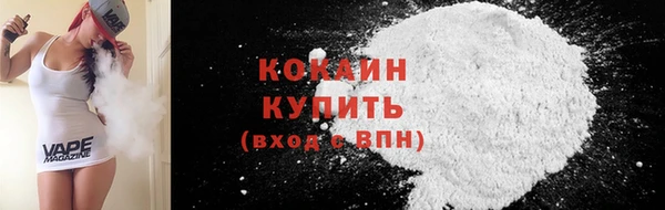 ГАЛЛЮЦИНОГЕННЫЕ ГРИБЫ Инта