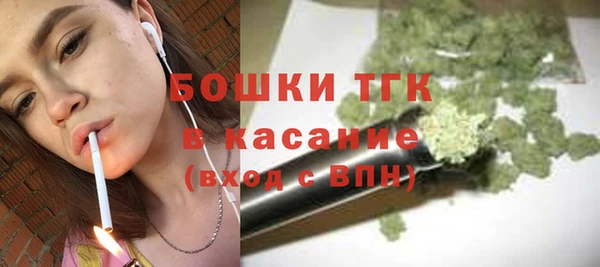 ГАЛЛЮЦИНОГЕННЫЕ ГРИБЫ Инта