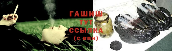ГАЛЛЮЦИНОГЕННЫЕ ГРИБЫ Инта