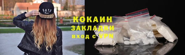 ГАЛЛЮЦИНОГЕННЫЕ ГРИБЫ Инта