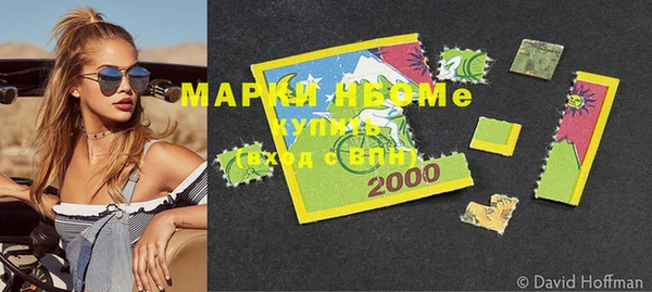 ГАЛЛЮЦИНОГЕННЫЕ ГРИБЫ Инта