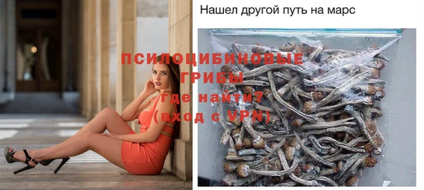 ГАЛЛЮЦИНОГЕННЫЕ ГРИБЫ Инта