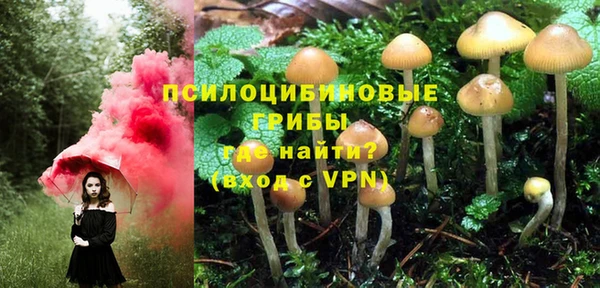 ГАЛЛЮЦИНОГЕННЫЕ ГРИБЫ Инта